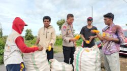 Bhabinkamtibmas Desa Bagik Papan Cek Panen Jagung dan Sampaikan Himbauan Kamtibmas