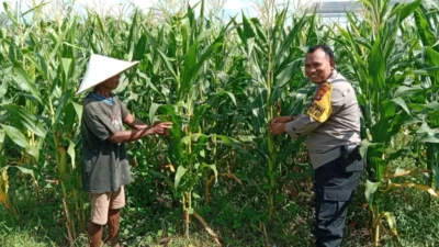 Strategi Cerdas Bhabinkamtibmas Desa Bagik Polak Barat: Ubah Lahan Tidur Jadi Sumber Pangan Produktif