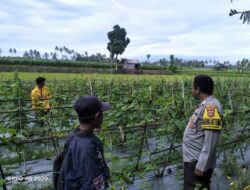 Bhabinkamtibmas Tanak Gadang Cek Lahan P2B, Dukung Program Swasembada Pangan