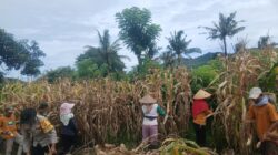 Perkuat Sinergitas, Bhabinkamtibmas Desa Tolo’oi Sambangi Tokoh Masyarakat di Dusun Batu Mas