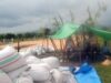 Polri Dukung Ketahanan Pangan, Bhabinkamtibmas Dampingi Petani Jagung dari Masa Tanam hingga Distribusi