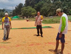 Bhabinkamtibmas Polsek Woja Pantau Penjemuran Jagung Warga, Dukung Ketahanan Pangan Nasional