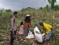 Dukung Indonesia Emas, Bhabinkamtibmas Kilo Aktif Pantau Pertanian Warga