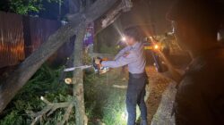 Quick Response Layanan 110, Pamapta Polres Bima Kabupaten Evakuasi Pohon Tumbang di Desa Donggobolo