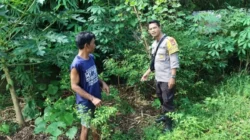 Bhabinkamtibmas Labuapi Dampingi Petani Kelola Lahan Produktif