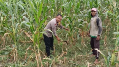 Polres Lombok Barat Motivasi Petani Jagung di Dusun Jogot