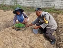 Bukan Sekadar Jaga Keamanan, Aksi Nyata Polisi di Lombok Barat Dorong Produktivitas Petani Lokal