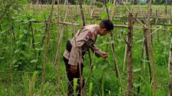 Polri Kawal Program Ketahanan Pangan di Desa Terong Tawah