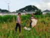 Sinergi Polri dan Petani: Strategi Polsek Labuapi Perkuat Ketahanan Pangan di Desa Karang Bongkot