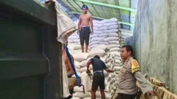 Polri Kawal Ketat Distribusi Puluhan Ton Jagung Mareje Timur ke Bulog, Pastikan Petani Sejahtera
