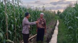 Bhabinkamtibmas Gerung Kawal Ketahanan Pangan Nasional