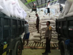 Langkah Nyata Polres Lombok Barat Kawal Distribusi Jagung Petani Mareje Timur Tembus Bulog