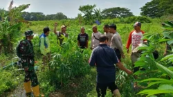 Perkuat Ketahanan Pangan, Bhabinkamtibmas Batulayar Ajak Warga Manfaatkan Lahan Kosong