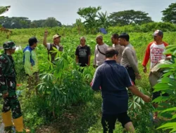 Perkuat Ketahanan Pangan, Bhabinkamtibmas Batulayar Ajak Warga Manfaatkan Lahan Kosong