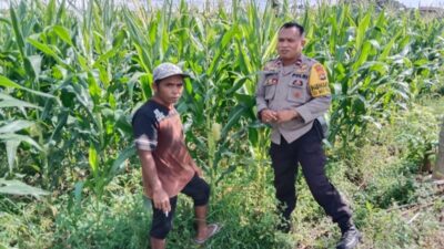 Petani Dusun Jogot Tersenyum, Polsek Labuapi Berikan Pendampingan Intensif untuk Amankan Stok Pangan Desa
