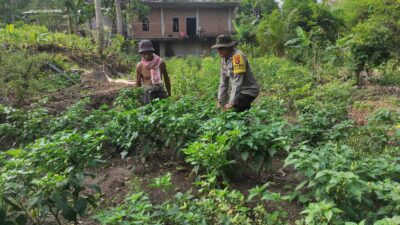 Bhabinkamtibmas Desa Setuta Ajak Warga Manfaatkan Pekarangan Rumah untuk Ketahanan Pangan