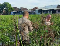 Bhabinkamtibmas Desa Masbagik Utara Laksanakan Silaturahmi dan Kontrol Ketahanan Pangan Warga