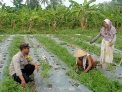 Optimalkan Lahan Sempit, Bhabinkamtibmas Dasan Geres Dorong Ketahanan Pangan Mandiri Lewat Media Polibag