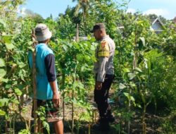 Bhabinkamtibmas Desa Labuhan Haji Laksanakan Sambang Lahan Ketahanan Pangan Bergizi di Dusun Sisik