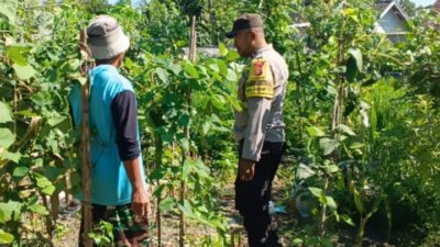 Bhabinkamtibmas Desa Labuhan Haji Laksanakan Sambang Lahan Ketahanan Pangan Bergizi di Dusun Sisik