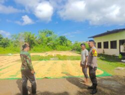 Bhabinkamtibmas Desa Karombo Pantau Panen Raya Jagung, Dukung Ketahanan Pangan Nasional