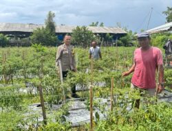Kapolres Sumbawa Pantau Program Ketahanan Pangan di Dusun Meno