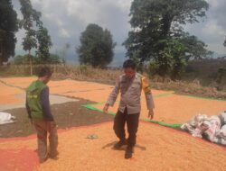 Ketahanan Pangan Nasional, Bhabinkamtibmas Polsek Donggo Aktif Dampingi dan Bantu Petani