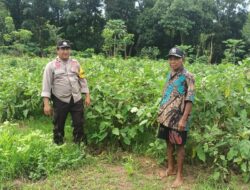 Bhabinkamtibmas Desa Bakajaya Dorong Ketahanan Pangan Melalui Budidaya Terong di Pekarangan Warga