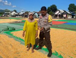 Ketahanan Pangan Nasional, Kanit Binmas Polsek Bolo Pantau dan Bantuan Jemur Jagung Warga