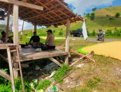 Bhabinkamtibmas Desa Jala Turun ke Lapangan, Pastikan Hasil Panen Aman dan Optimal