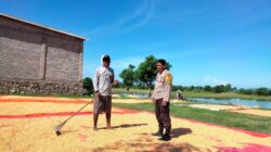 Bhabinkamtibmas Desa Cempi Jaya Laksanakan Pemantauan Lahan Jagung Dukung Program Ketahanan Pangan Nasional