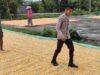 Bhabinkamtibmas Pantau Penjemuran Jagung Warga, Dukung Ketahanan Pangan Nasional