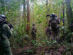 Satgas Operasi Damai Cartenz 2026 Laksanakan Patroli Taktis dan Penyisiran di Yahukimo