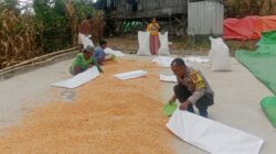 Polres Bima Kota Imbau Petani Jagung Jaga Kualitas Hasil Panen Agar Mendapat Harga Tinggi