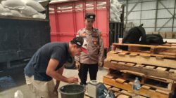 Pasokan Jagung Melimpah dari Sekotong, 10,5 Ton Jagung Resmi Masuk Gudang Bulog demi Ketahanan Pangan