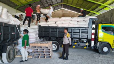 Petani Mareje Timur Tembus Standar Bulog, Bhabinkamtibmas Turun Tangan Kawal Logistik