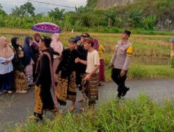 Tradisi Nyongkolan di Labuapi Berlangsung Meriah, Polisi Pastikan Arus Lalu Lintas Tetap Kondusif