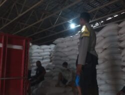 Polri Kawal Ketat 19 Ton Jagung Mareje ke Bulog, Pastikan Petani Sejahtera!