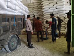 Kawal Ketahanan Pangan, Bhabinkamtibmas Polres Lombok Barat Pastikan Puluhan Ton Jagung Petani Tembus Gudang Bulog