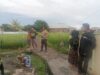 BHABINKAMTIBMAS POLSEK WOJA DUKUNG KETAHANAN PANGAN WARGA MELALUI PEMANTAUAN LAHAN PADI