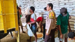 Sinergi Bhabinkamtibmas dan Petani Mareje Timur: Dorong Distribusi Hasil Panen Jagung Berkualitas ke Bulog