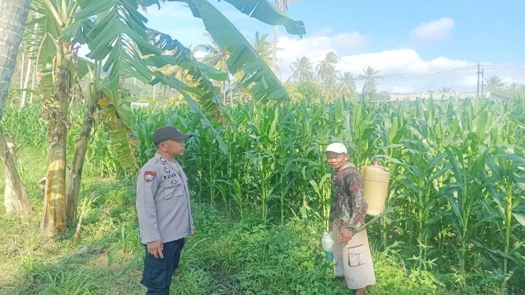 Sinergi Tanpa Batas di Lombok Barat: Saat Polisi dan Petani Berkolaborasi Demi Kedaulatan Pangan Desa
