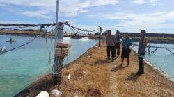 Kapolsek Sambelia Cek TKP Dugaan Pencurian di Tambak Udang Desa Dara Kunci