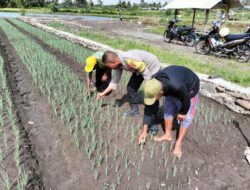 Bhabinkamtibmas Desa Bagik Papan Perkuat Ketahanan Pangan Lewat Silaturahmi dan Cek Tanaman Bawang Merah