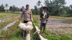 Sinergi Polsek Labuapi dan Petani Jaga Ketahanan Pangan