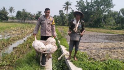 Sinergi Polsek Labuapi dan Petani Jaga Ketahanan Pangan