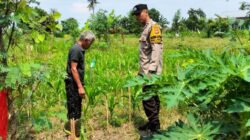 Bhabinkamtibmas Labuapi Kawal Ketahanan Pangan Nasional hingga ke Desa
