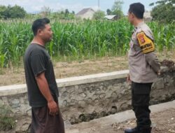 Lahan Kosong Jadi Kebun Jagung, Cara Bhabinkamtibmas Polsek Labuapi Wujudkan Ketahanan Pangan Nasional