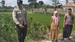 Lahan Kosong Jadi Sumber Cuan, Aksi Nyata Polsek Labuapi Perkuat Ketahanan Pangan Nasional