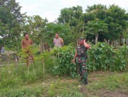 Sinergi TNI-Polri Kawal Ketahanan Pangan di Lombok Barat